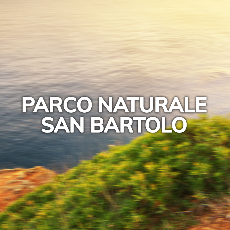Dall'Hotel California di Cattolica al Parco Naturale del San Bartolo: panorami e itinerari da non perdere