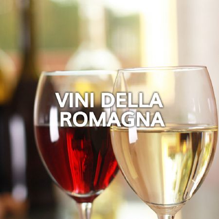I vini della Romagna: Trebbiano e Sangiovese